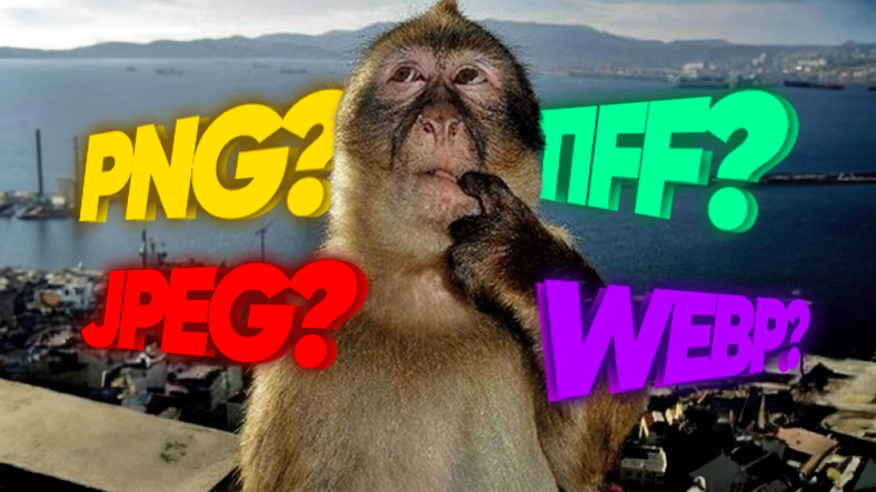 bir gorsel indirirken neden birden fazla imaj formatiyla karsilasiyoruz tek olmasi isimizi kolaylastirmaz miydi Zl4Ay4lZ