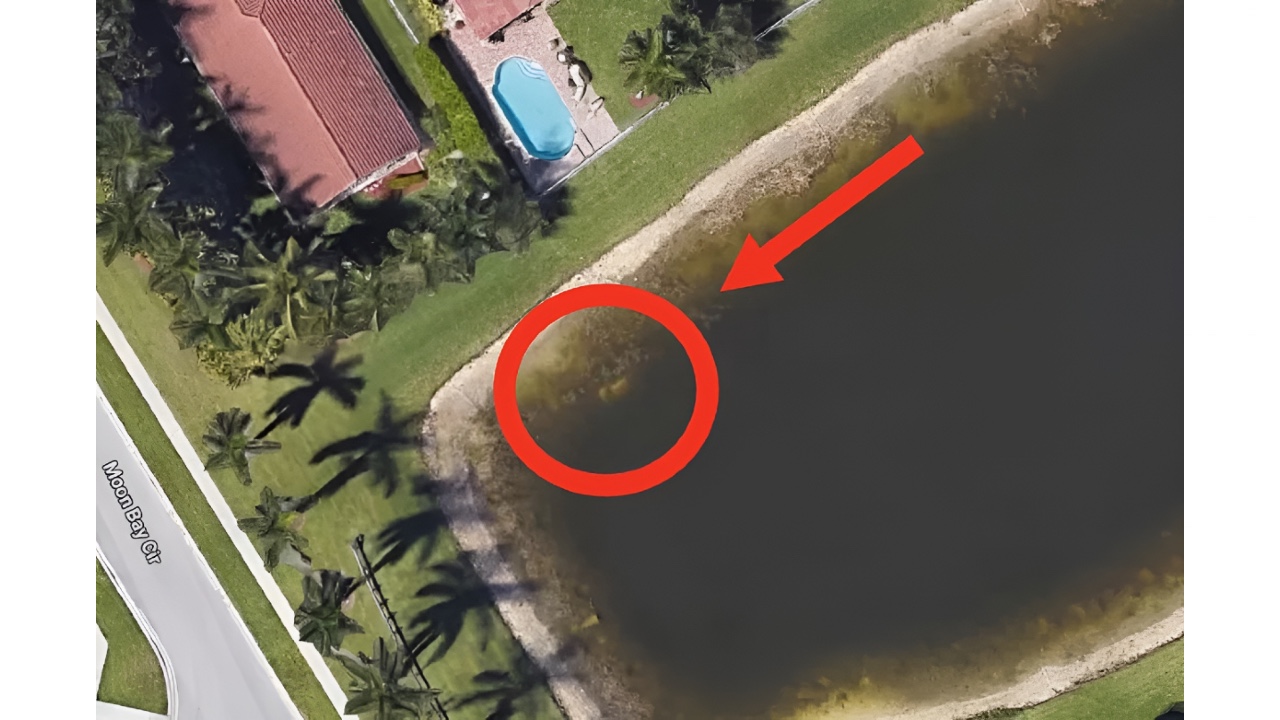 google haritalarin sokak gorunumu ve google earth sayesinde cozulen birbirinden tuhaf gercek kabahat belgeleri kD7KOHIM